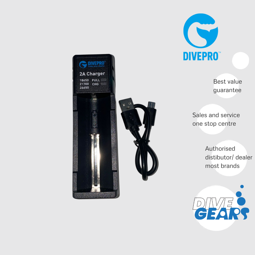 Divepro Charger (26650/21700/18650) Type C